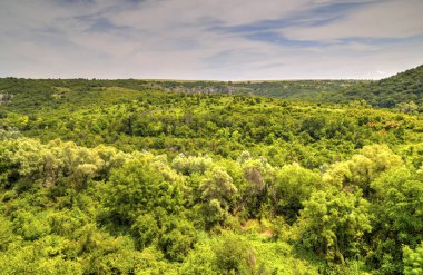 Güzel yaz manzarası