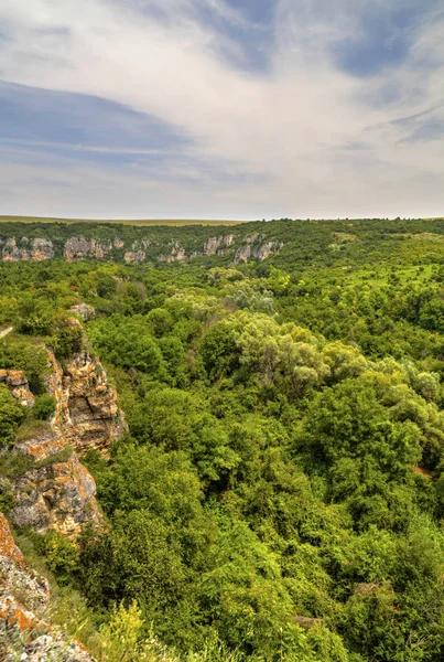 Прекрасний літній краєвид — стокове фото