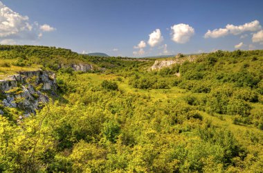 Güzel yaz manzarası