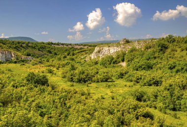 Güzel yaz manzarası
