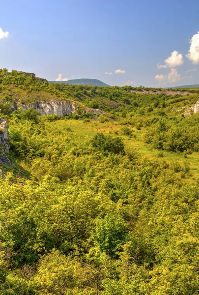 Прекрасний літній краєвид — стокове фото