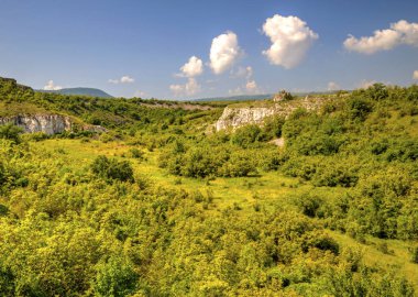 Güzel yaz manzarası