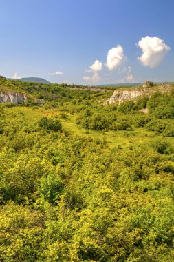 Güzel yaz manzarası