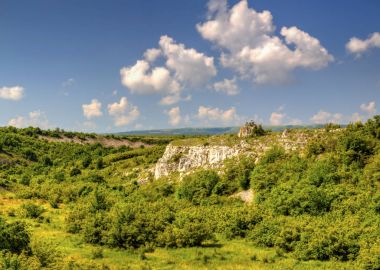 Güzel yaz manzarası