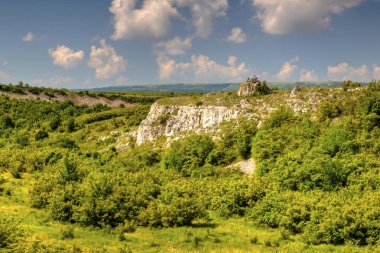 Güzel yaz manzarası