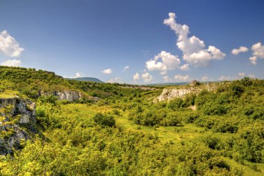 Güzel yaz manzarası
