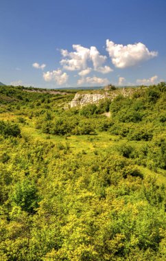 Güzel yaz manzarası