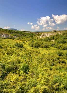 Güzel yaz manzarası