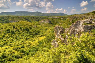Güzel yaz manzarası