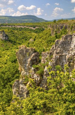 Güzel yaz manzarası