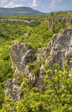 Güzel yaz manzarası