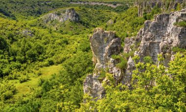 Güzel yaz manzarası