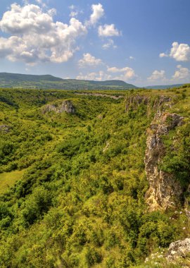Güzel yaz manzarası