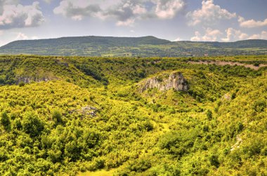 Güzel yaz manzarası