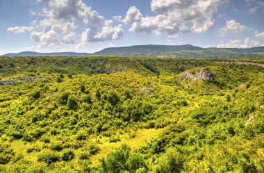 Güzel yaz manzarası