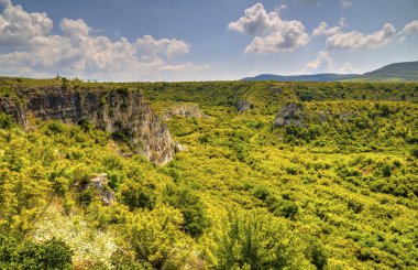 Güzel yaz manzarası