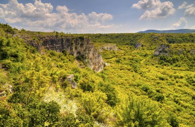 Güzel yaz manzarası