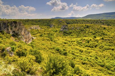 Güzel yaz manzarası