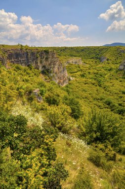 Güzel yaz manzarası