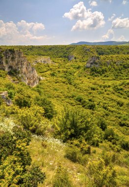 Güzel yaz manzarası