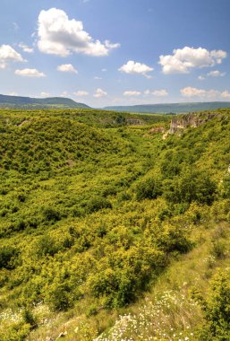 Güzel yaz manzarası