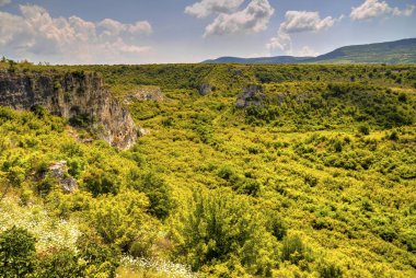 Güzel yaz manzarası