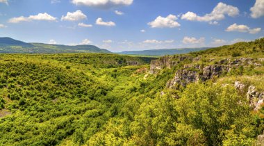 Güzel yaz manzarası