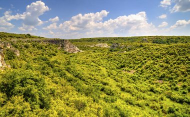 Güzel yaz manzarası