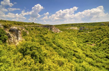 Güzel yaz manzarası