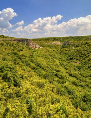 Güzel yaz manzarası