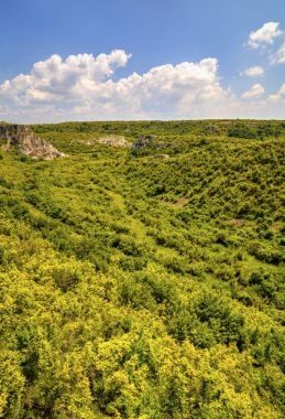 Güzel yaz manzarası