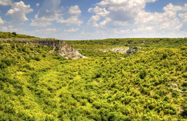 Güzel yaz manzarası