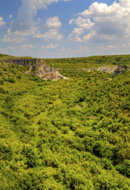 Güzel yaz manzarası