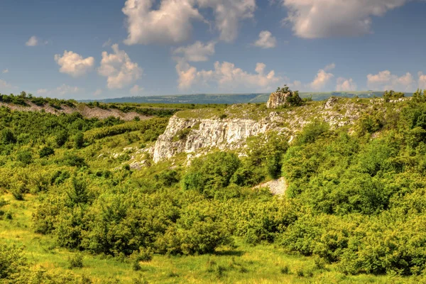 Güzel yaz manzarası