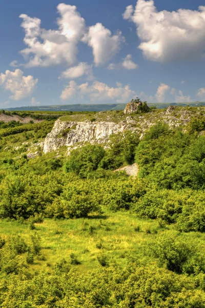 Prachtig zomers landschap — Stockfoto