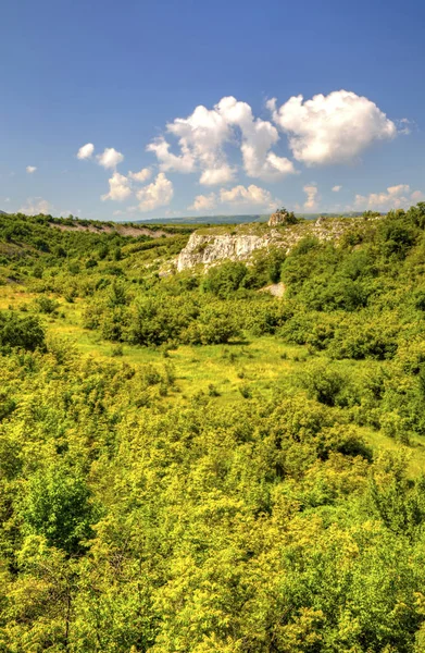 Прекрасний літній краєвид — стокове фото