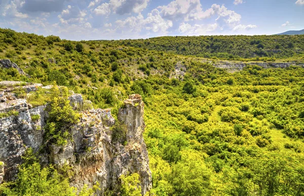 Güzel yaz manzarası