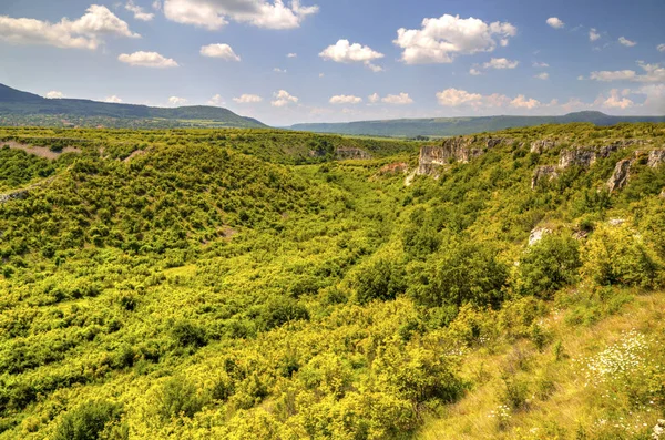 Schöne Sommerlandschaft — Stockfoto