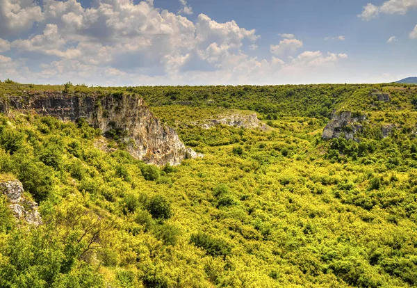 Güzel yaz manzarası
