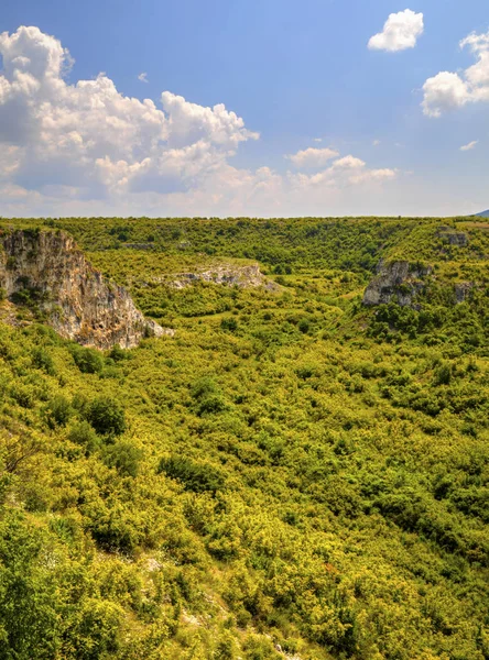 Krásná letní krajina — Stock fotografie