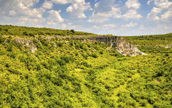 Linda paisagem de verão — Fotografia de Stock