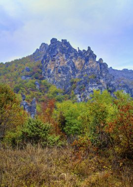 Renkli sonbahar orman ile dağ manzara