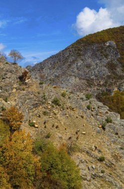 Dağda keçi ile manzara