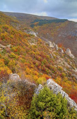 Renkli sonbahar orman ile dağ manzara