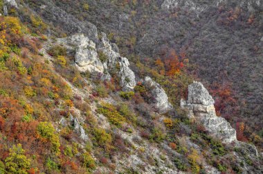 Renkli sonbahar orman ile dağ manzara