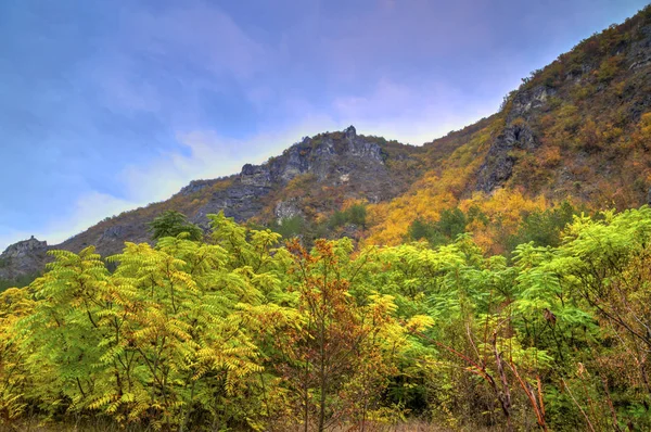 Paisagem na montanha com floresta de outono colorido — Fotografia de Stock