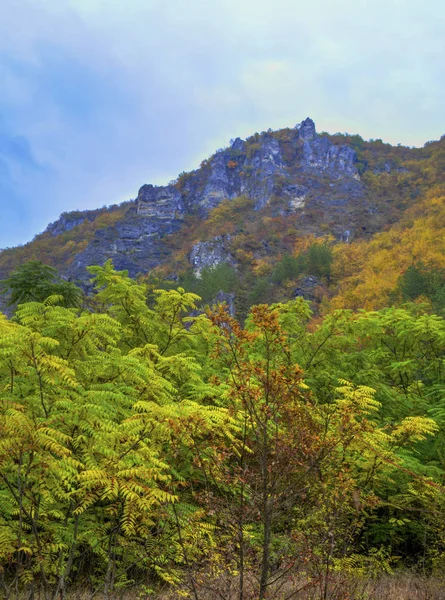 Paisagem na montanha com floresta de outono colorido — Fotografia de Stock