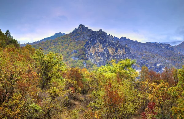 Paisaje en la montaña con colorido bosque otoñal — Foto de Stock