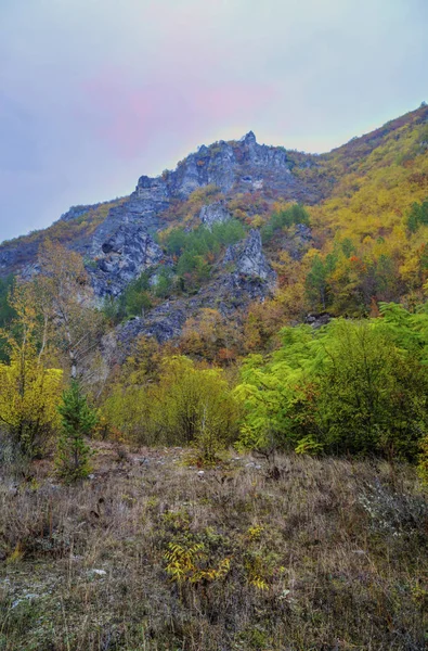 Landschaft im Gebirge mit buntem Herbstwald — Stockfoto