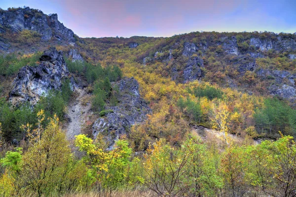 Renkli sonbahar orman ile dağ manzara — Stok fotoğraf